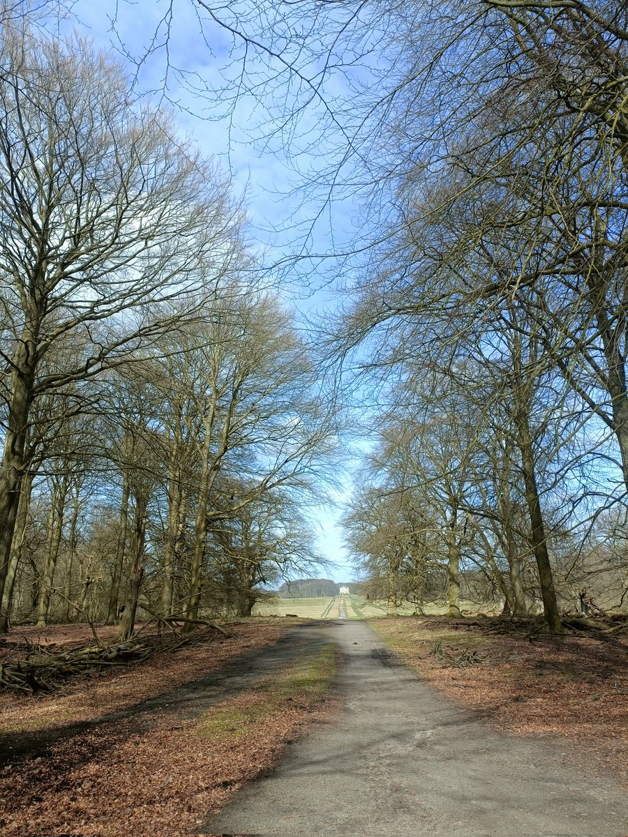 Pau Pujol Vilà tweet media