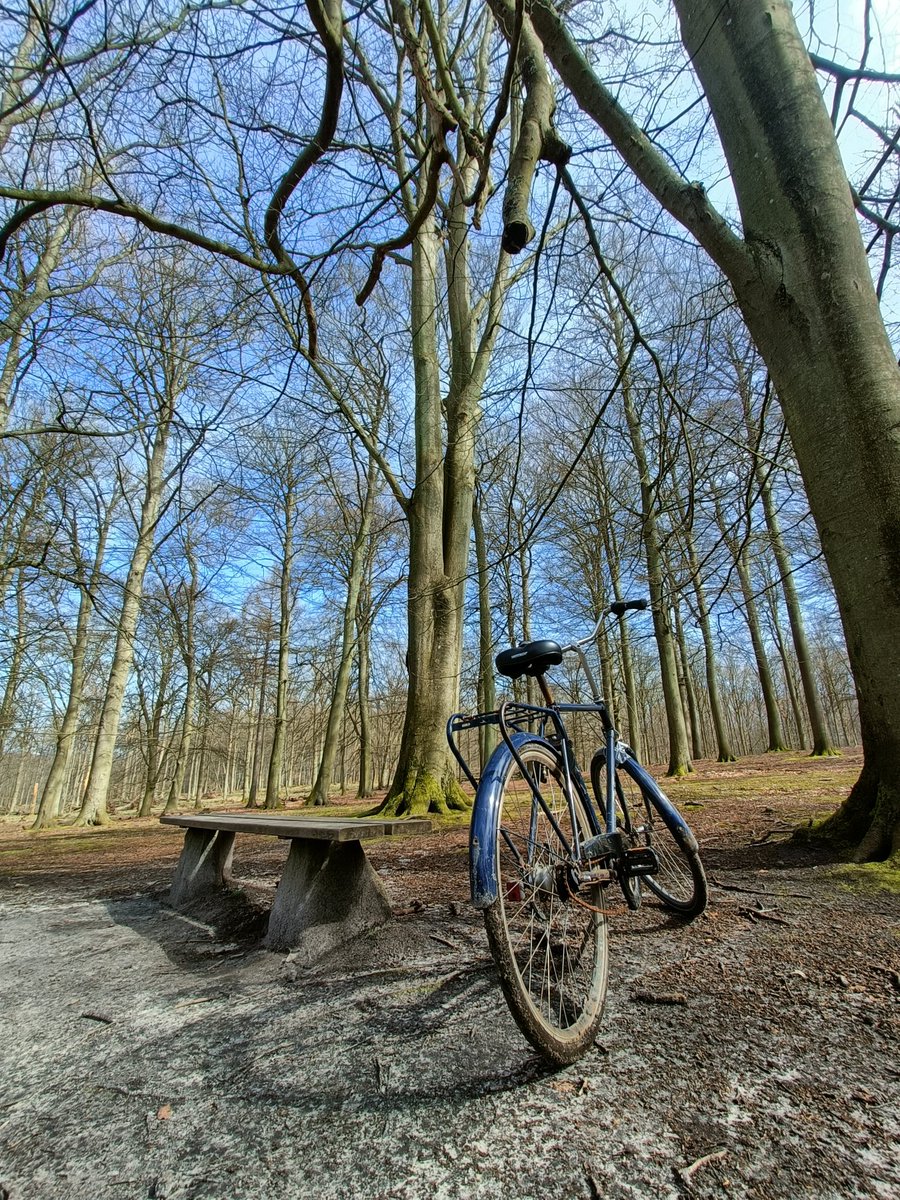 Pau Pujol Vilà tweet media