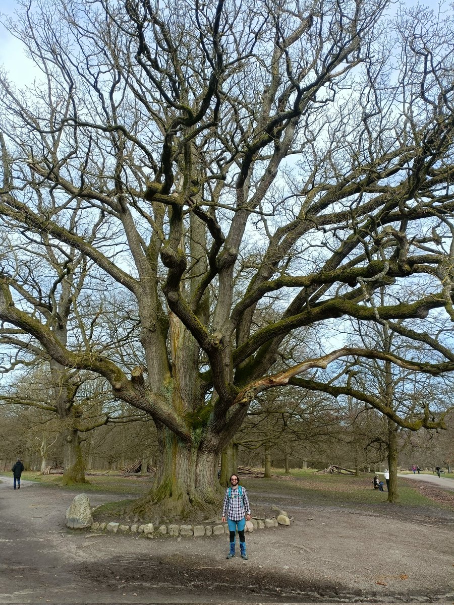 Pau Pujol Vilà tweet media