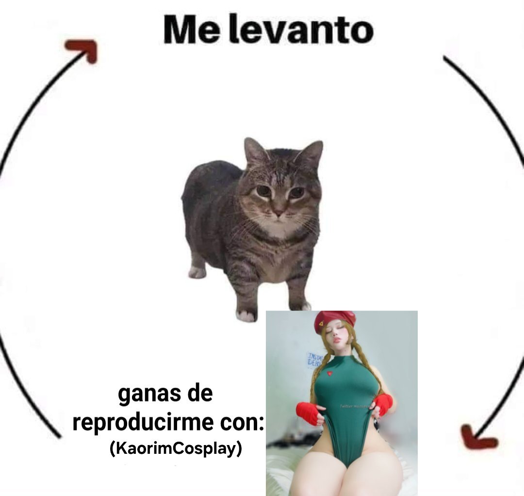 KaorimCosplay's tweet photo. RT si es verdad https://t.co/eldBHgtm44