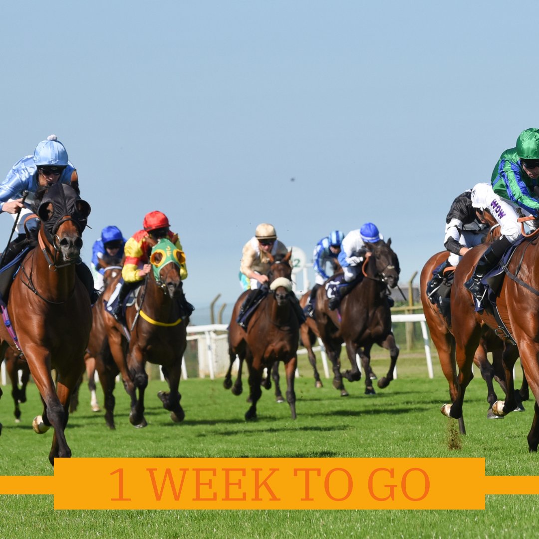 ⚠️ 1 WEEK TO GO ⚠️ Our gates open for the first time in 2024 next Saturday 13th April. Join us for the Season Opener, featuring the Grand National LIVE on screens. Enjoy double the racing action on and off track, for just one unbeatable price 💰 🎟️ - greatyarmouth-racecourse.co.uk/whats-on/seaso…