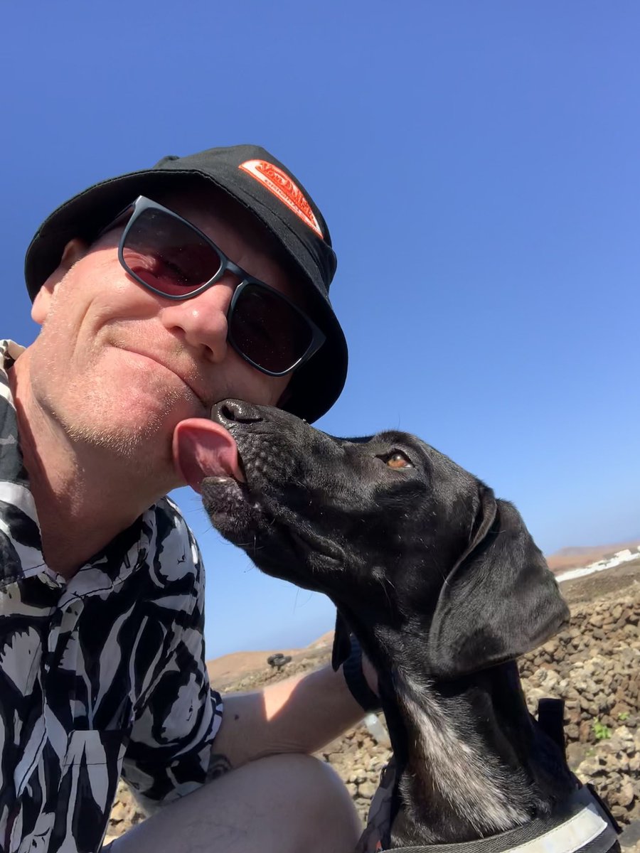 larsboschroeder's tweet photo. @thomasroenn Bedårende, kærlige og hengivne Wilma. Reddet fra en barsk skæbne som jagthund på Lanzarote. https://t.co/9vhTy7qjkx