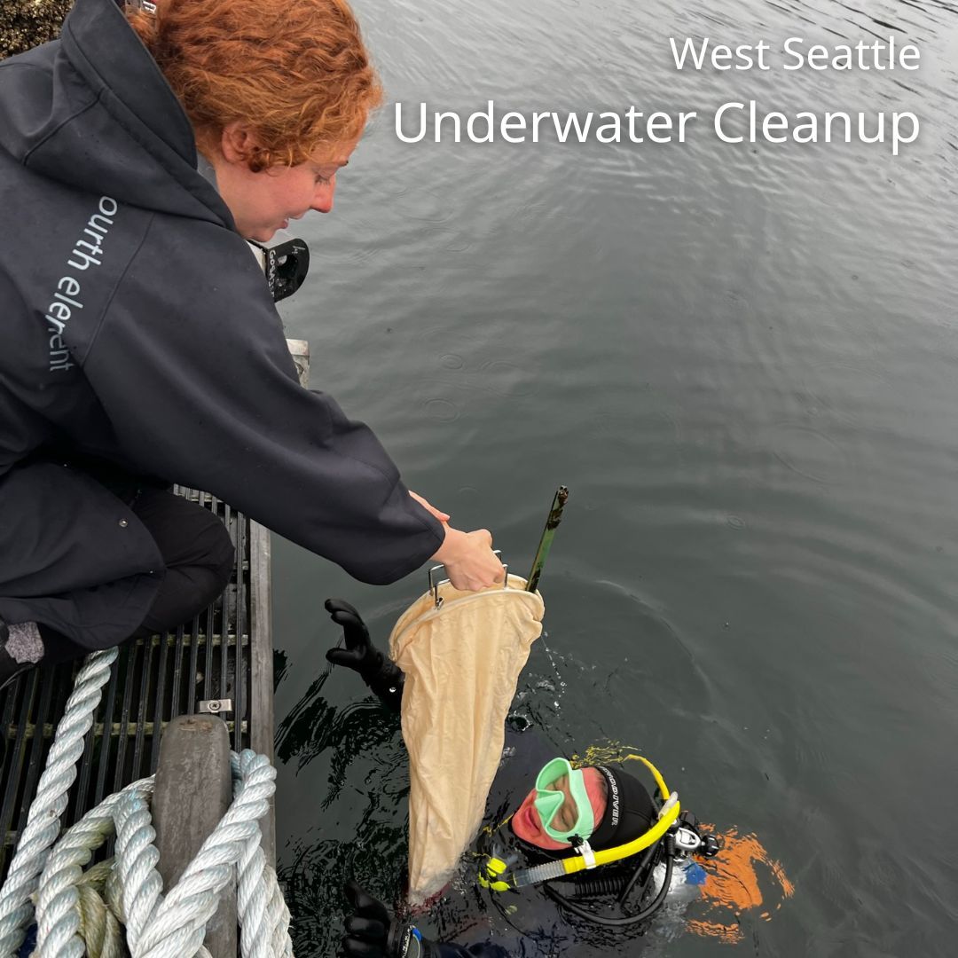 Our Seacrest underwater cleanup is just one week away, and we need your help!
On April 13th, we will have divers and shore volunteers removing debris from under the Seacrest pier. 
We are in need of more shore volunteers to help us sort debris! Details on our website.