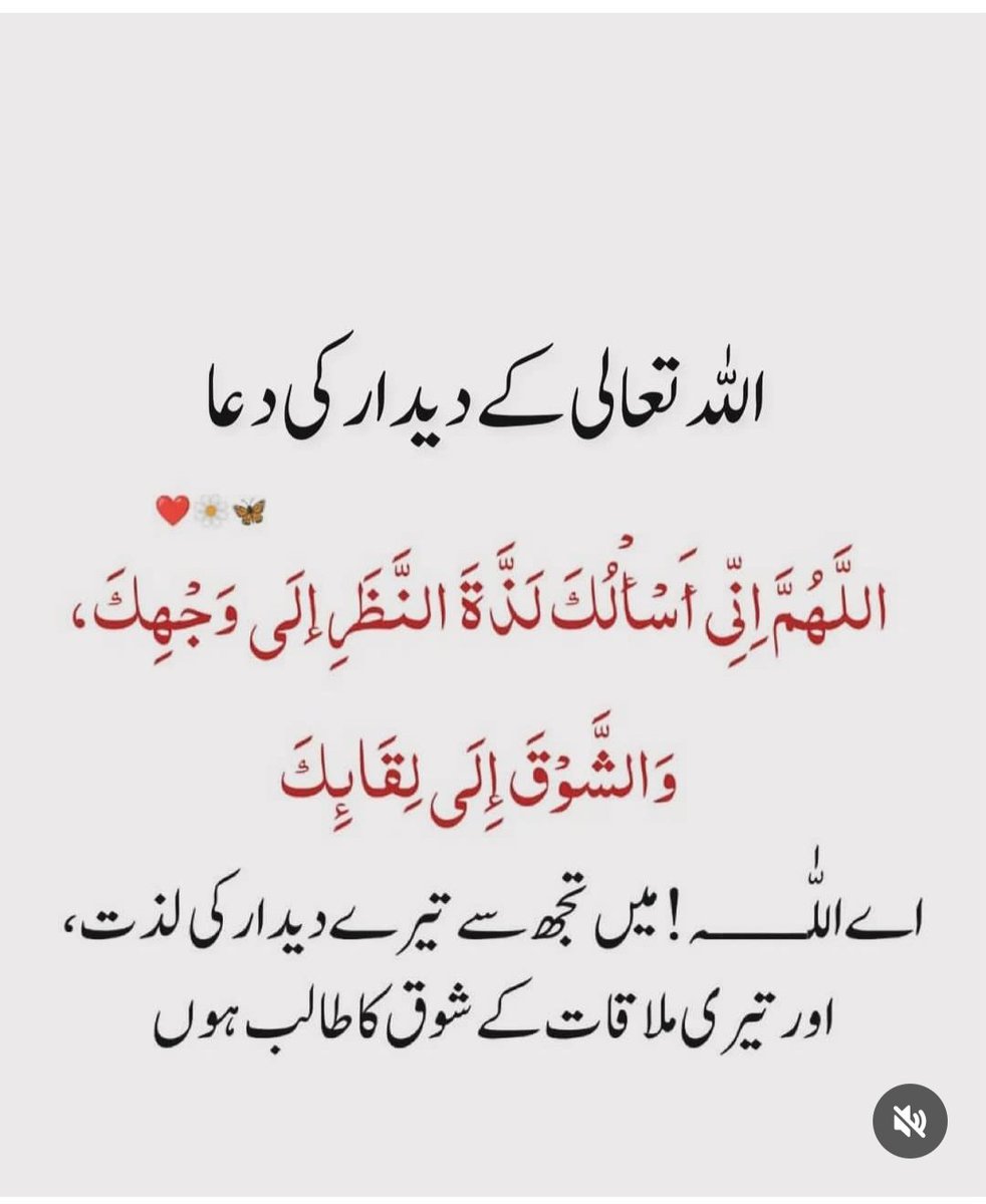 Zeeshan Ahmed (@zeeshan81199485) on Twitter photo 