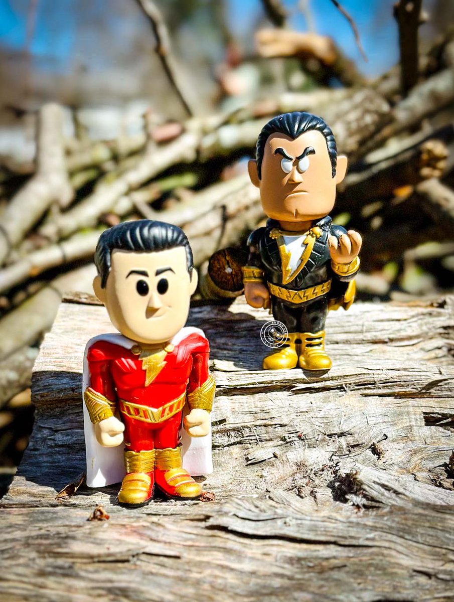 It’s #FunkoSodaSaturday! Looks like Black Adam & Shazam are working together to clean up the branches in the yard. Perfect for this 🌞 weekend! 😁👑💪🏽 #Spring #fun #FunkoSoda #DC #Super #FOTM #FunkoFamily @originalfunko @dcofficial