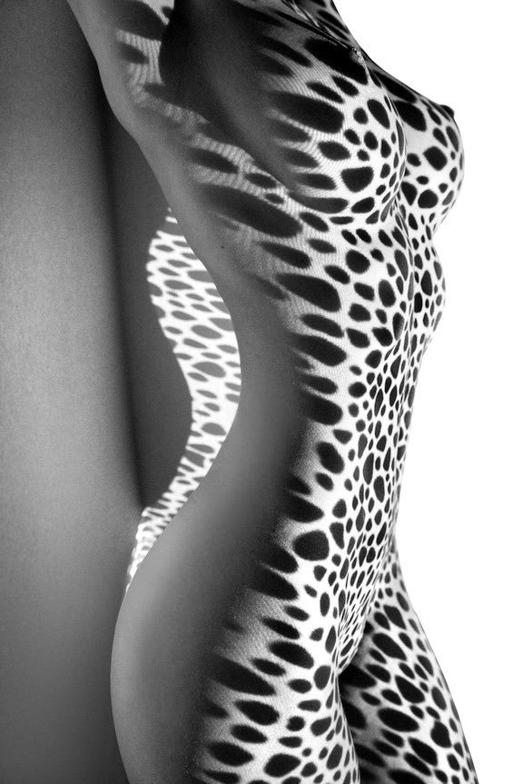 ana4dream's tweet photo. Belle nuit panthere https://t.co/6TzPfoI1bb