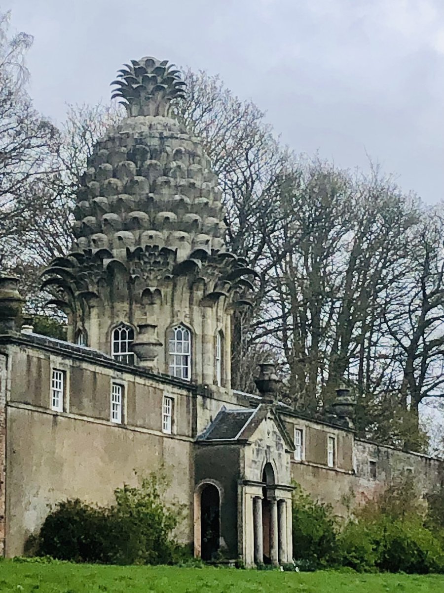 Visited #ThePineapple at Dunmore today. Exotic! (I can’t see a pineapple now without my brain insistently intoning - “The pineapple. Is. The most important. Of. All edible fruits. 3 4 1 2 3 …” Only @GSAChoir buddies will get this!)