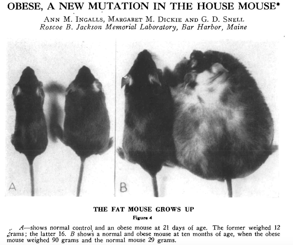 Veera Rajagopal  tweet media