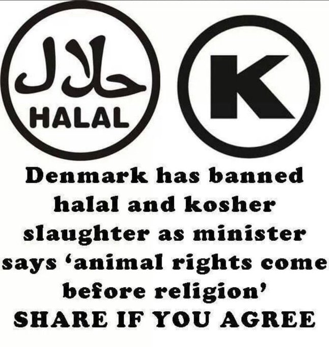 @LesleyRiddoch Better not take your Islamic Master (Yousless) to Denmark 👇