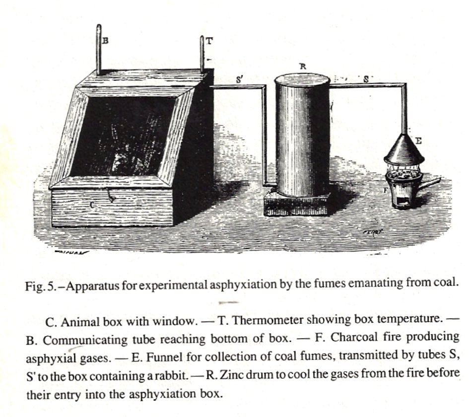 Claude Bernard (1813-1878) discovered that a low concentration of carbon monoxide (CO) is lethal. He burned coal and passed the gas into a box with a rabbit inside. His analysis of the gas detected O2, N2, CO2, CO, and methane. He then proved that the toxic gas was 0.54% CO.