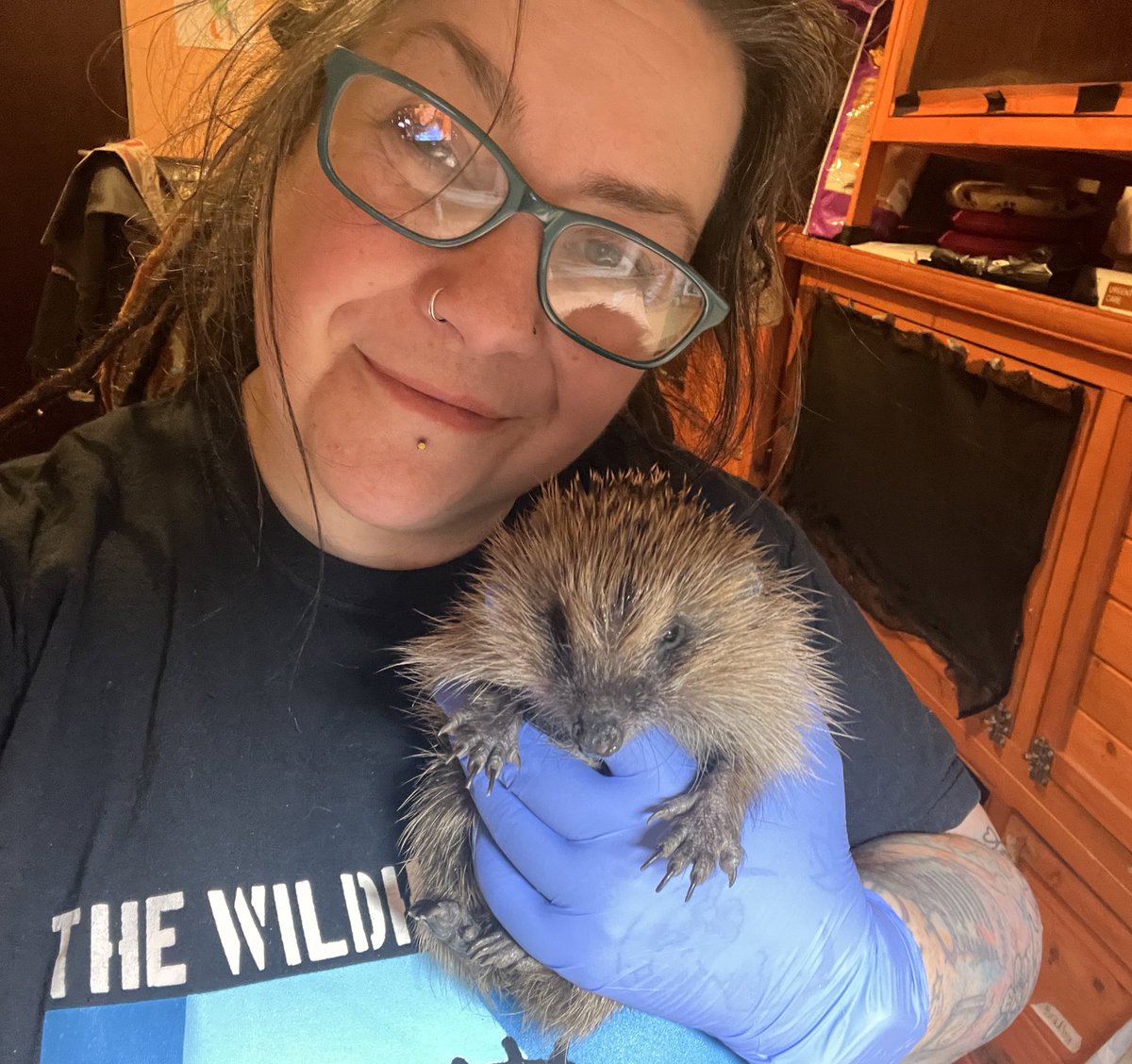 BRADLEY
Some good news with Bradley who is gaining weight nicely and is about half way through his treatments. Keep going little one. We got this!!

#hedgehoglover #hedgehognation #hedgehog #hedgehoglove #hedgehoglife #hedgehogrescue