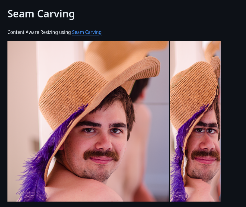 tsoding's tweet photo. On today's stream I implemented Content Aware Resizing using Seam Carving algorithm. The way it works on faces is hilarious. https://t.co/rMQxFR6D3h