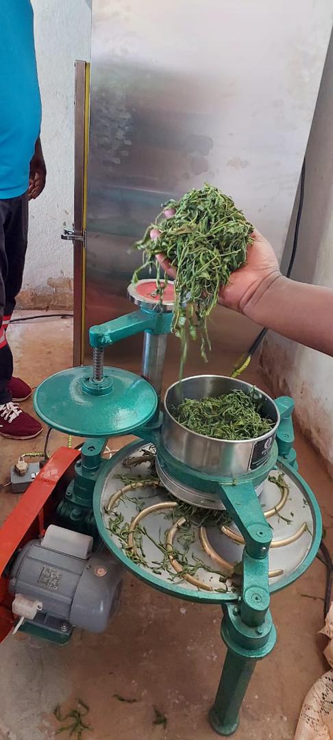 EWB (Denmark) are supporting financially as well as volunteering their time and technical support to set up a Cottage Tea factory for small tea growers.