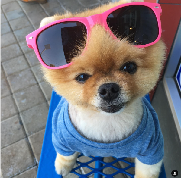 Simon 💹 tweet media