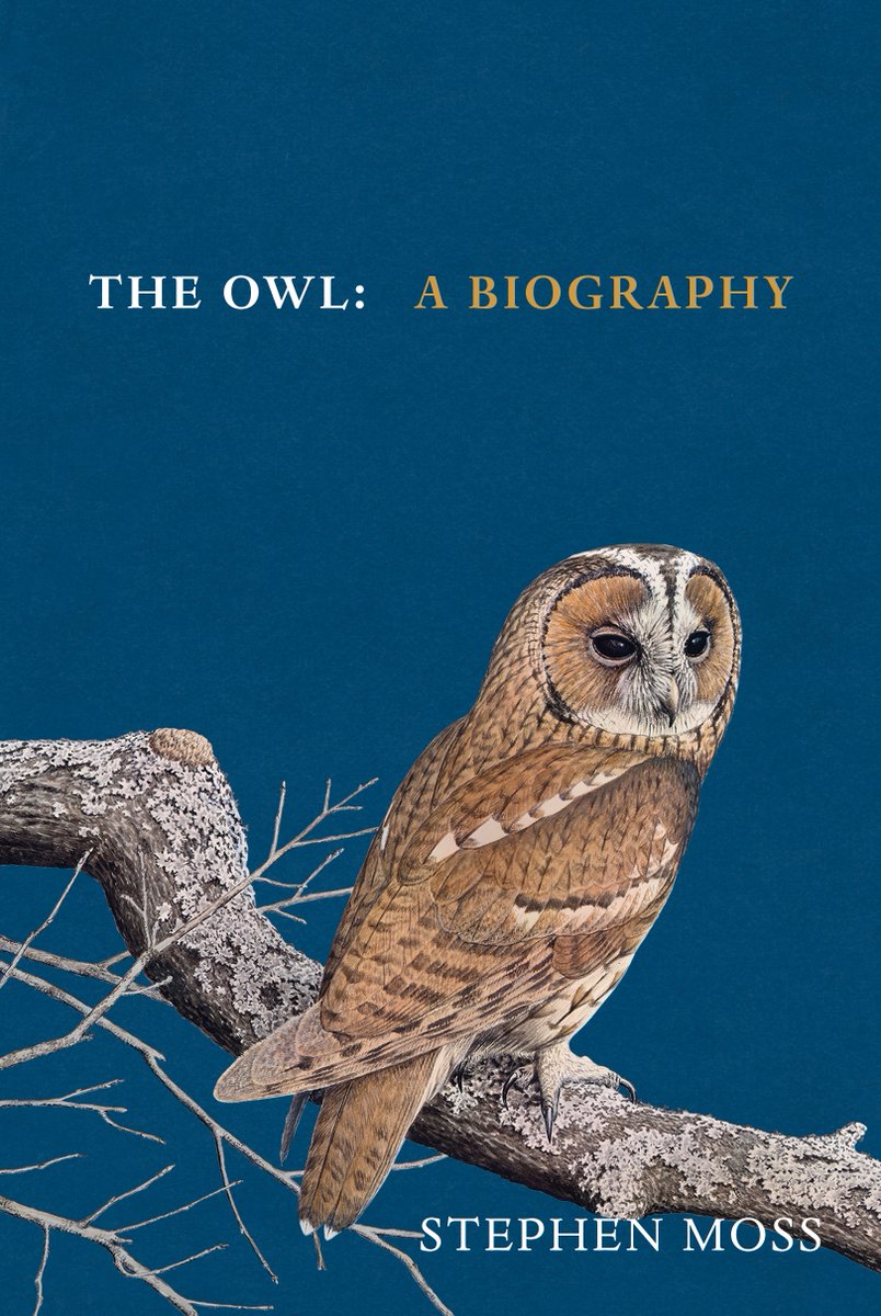 The Owl: a Biography has flown off the shelves, thanks to indie booksellers such as @LittleToller @FoldeDorset @brendon_books and many others! Over 9,000 copies sold in the first three months - many thanks to you if you bought one!