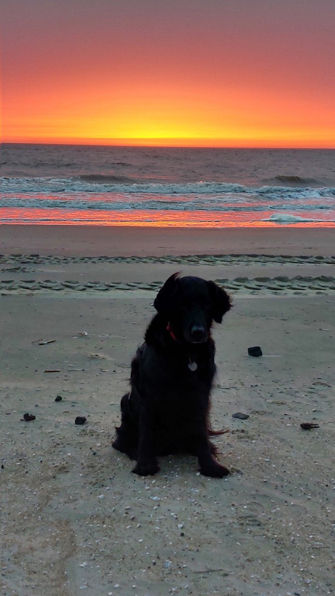 De zonsondergang met #saharastof was mooi op #Texel vanavond.