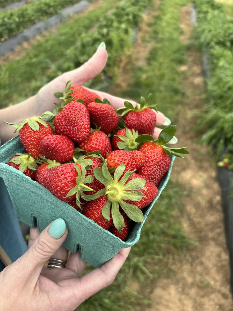 Liz Pena tweet media