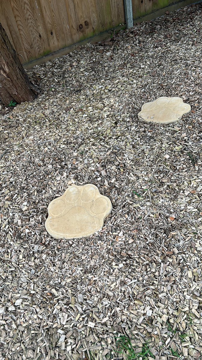 Maybe my feet are bigger than I thought…