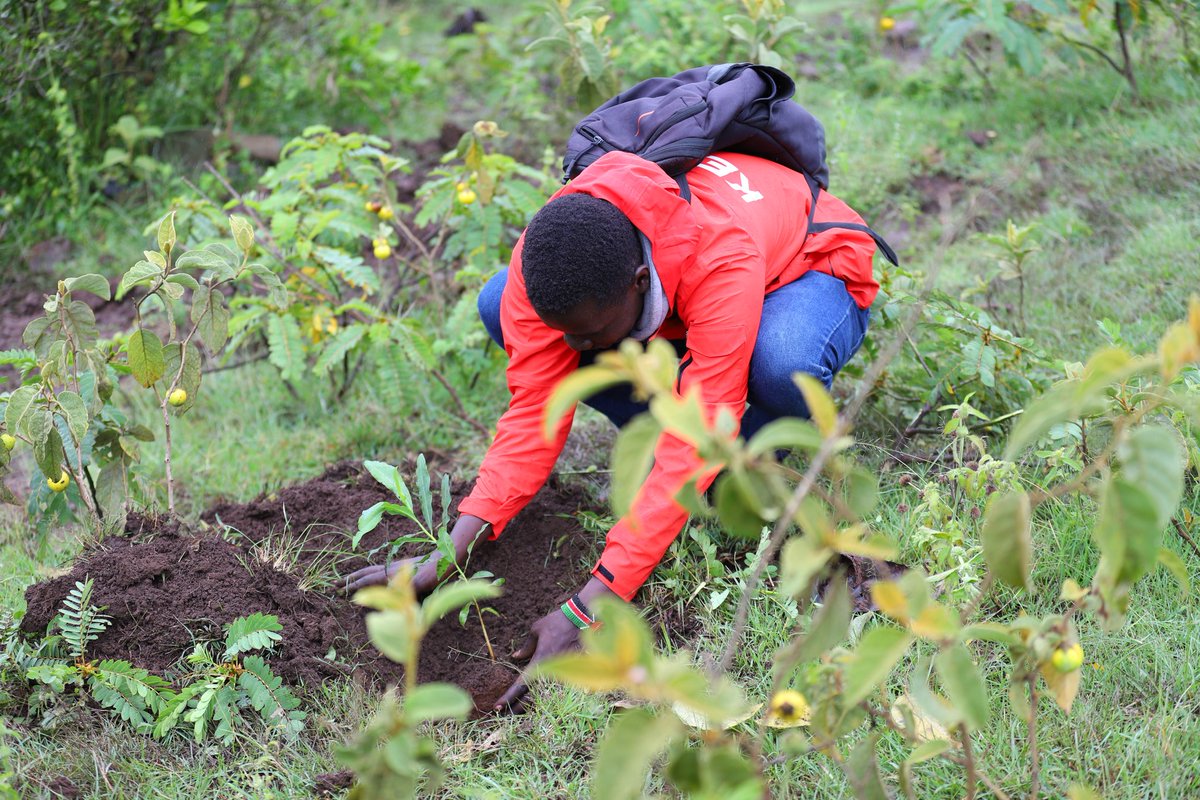 My heart is full, Today has marked the beginning of a movement like no other in the sports fraternity.. launching @OlympicsKe flagship sustainability project #LEA is just a start to what will be known inspire generations to come