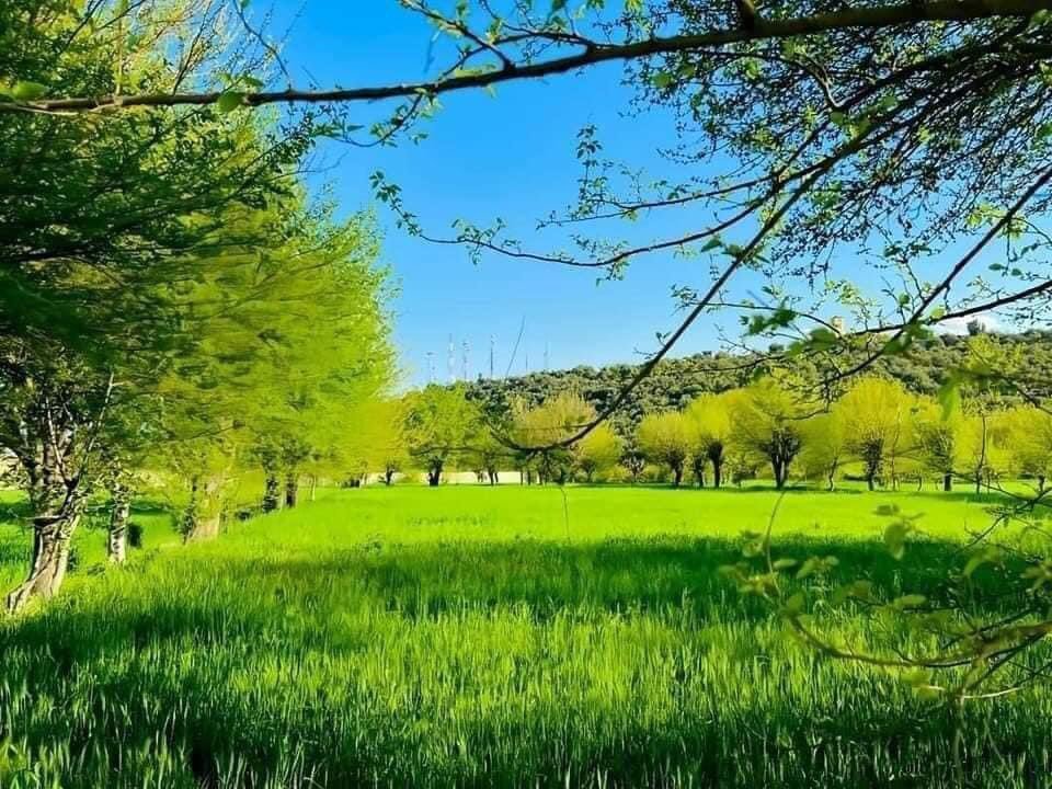 شاید د اختر رخصتۍ په خوست کې تېره کړو.😋