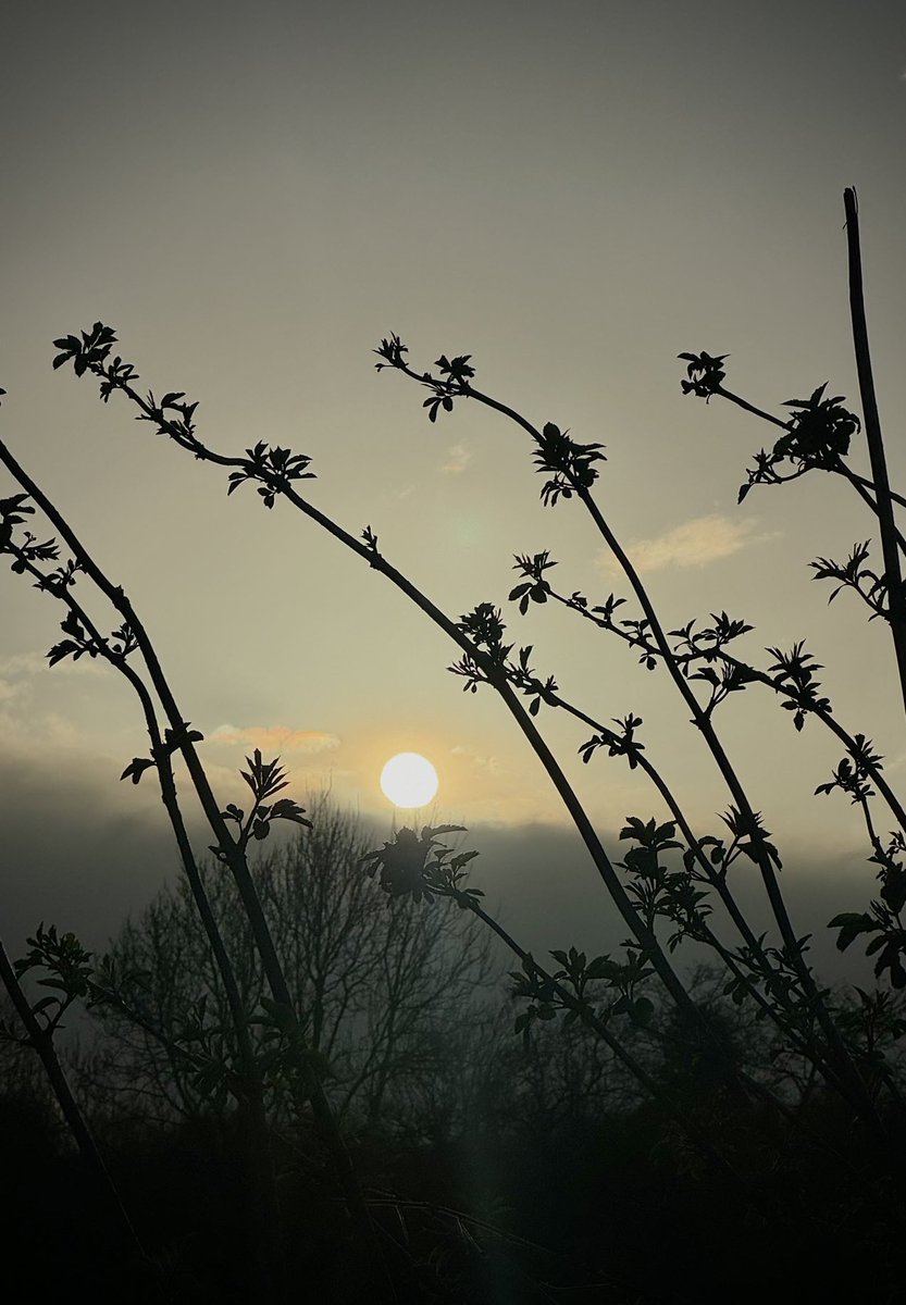 I've waited for this. Not quite sunset. Just enough sun. Dusk arrives at the old farm #nature #poet #farmersdaughter