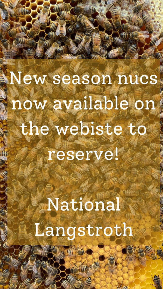 To order a new season nuc in either National or Langstroth head over to the website gwenyngruffydd.co.uk/collections/be…