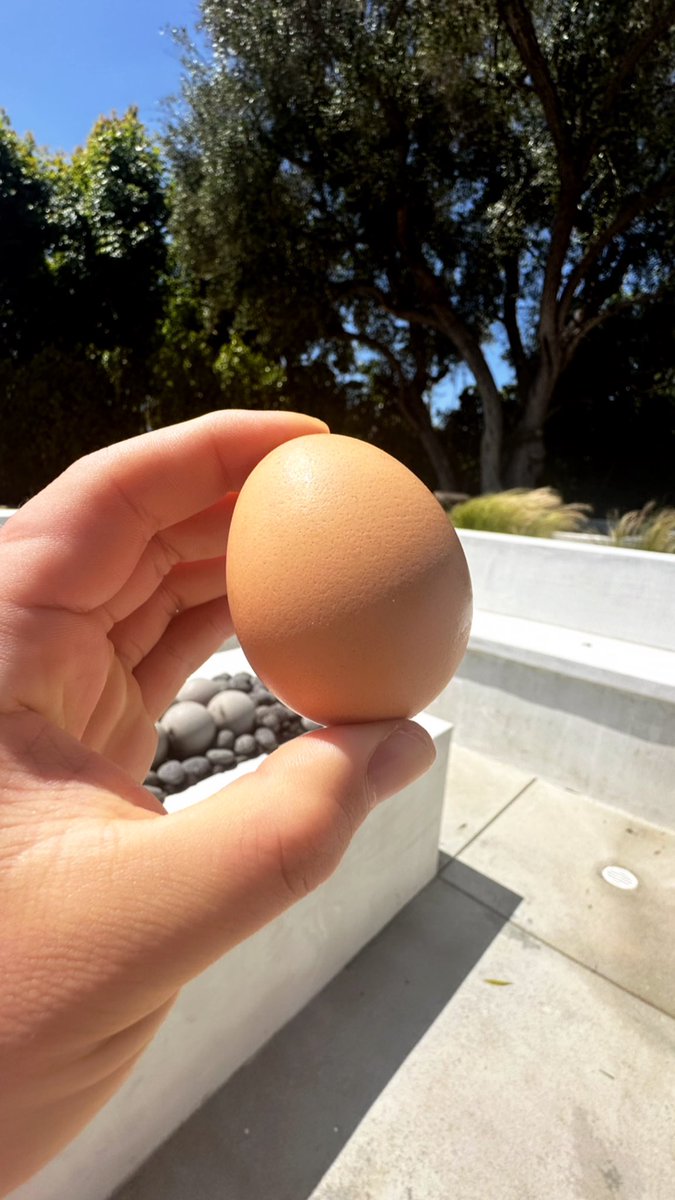 IF YOU THINK THIS IS JUST AN EGG…

YOURE DEAD WRONG 🥚