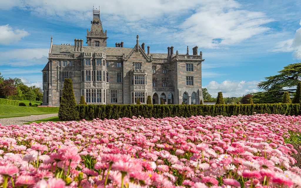 Amidst the majestic manor house, nature paints its own masterpiece with delicate pink petals. #AdareManor #BeyondEverything