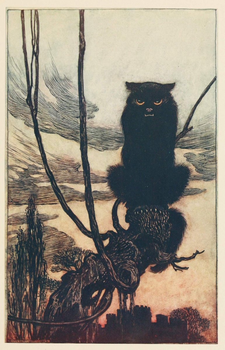 'By day she made herself into a cat.'. Arthur Rackham. c.1920.
