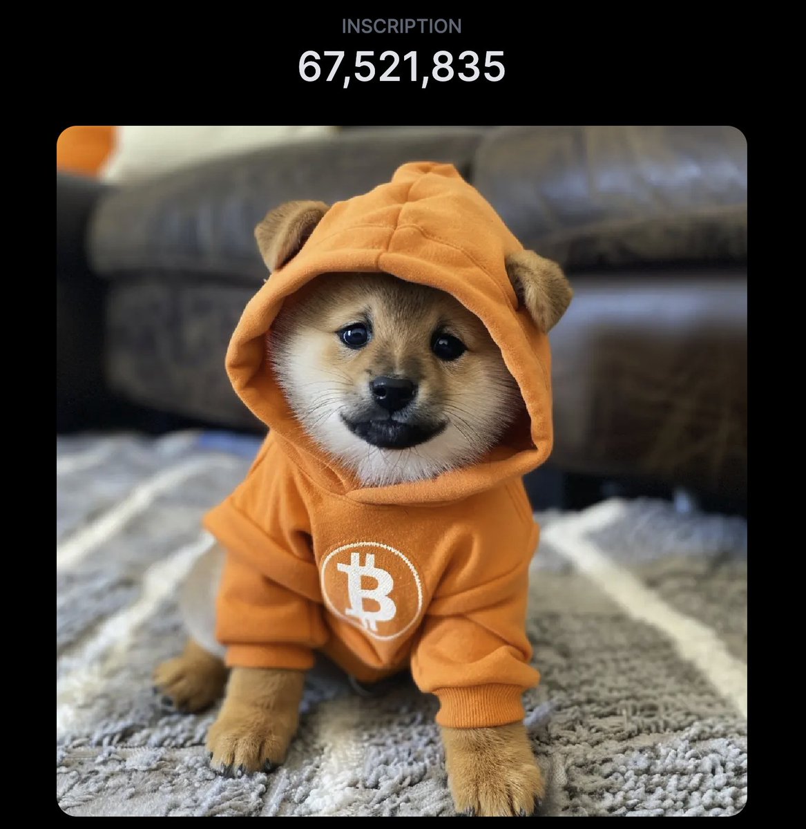 Leonidas 🧡 $DOG tweet media