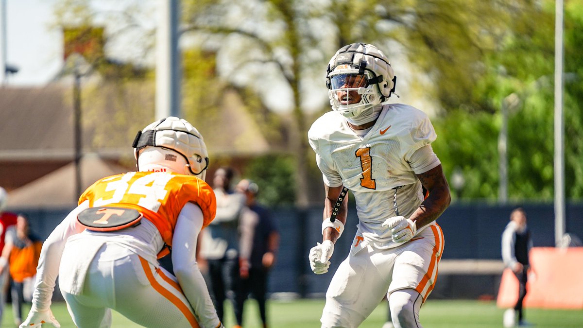 perfect day for work ☀️ #GBO 🍊