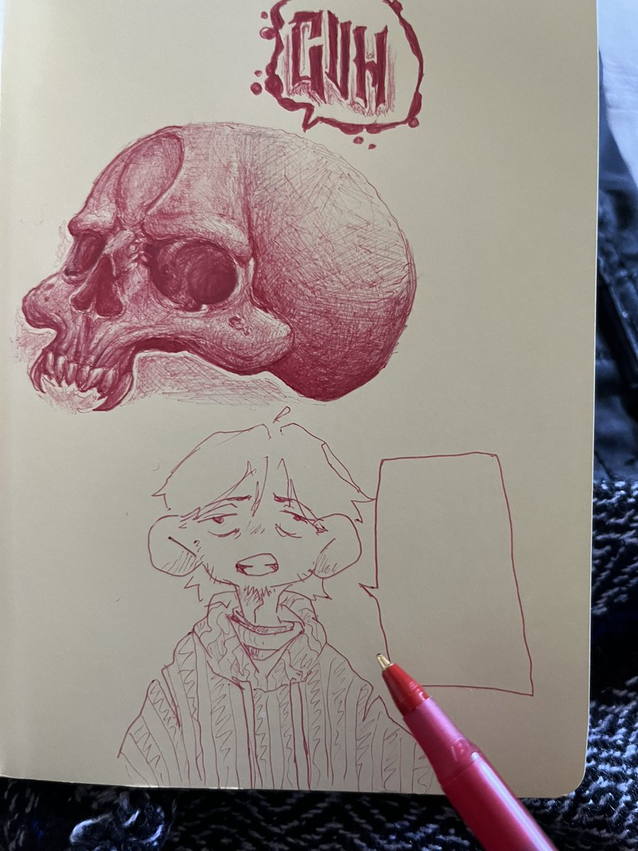 I got a new book for my doodles!! #doodleart #Doodles #skull #tattooart #skull #FYP