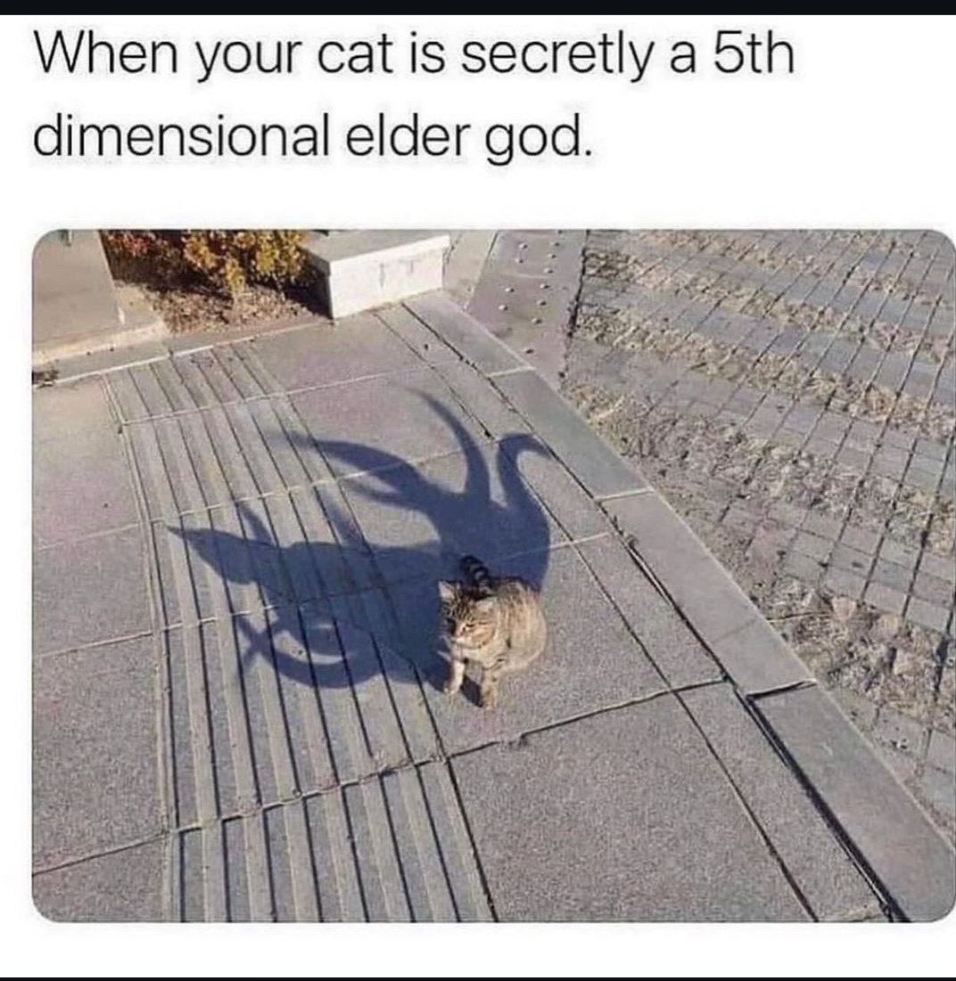 ❤️😁🫶🏽☺️🥰😅😹🥹
#caturday #DnD #dndmeme #dndfunny #DnDcharacter #eldergod #cats #HappyCaturday #nerd #nerdstuff