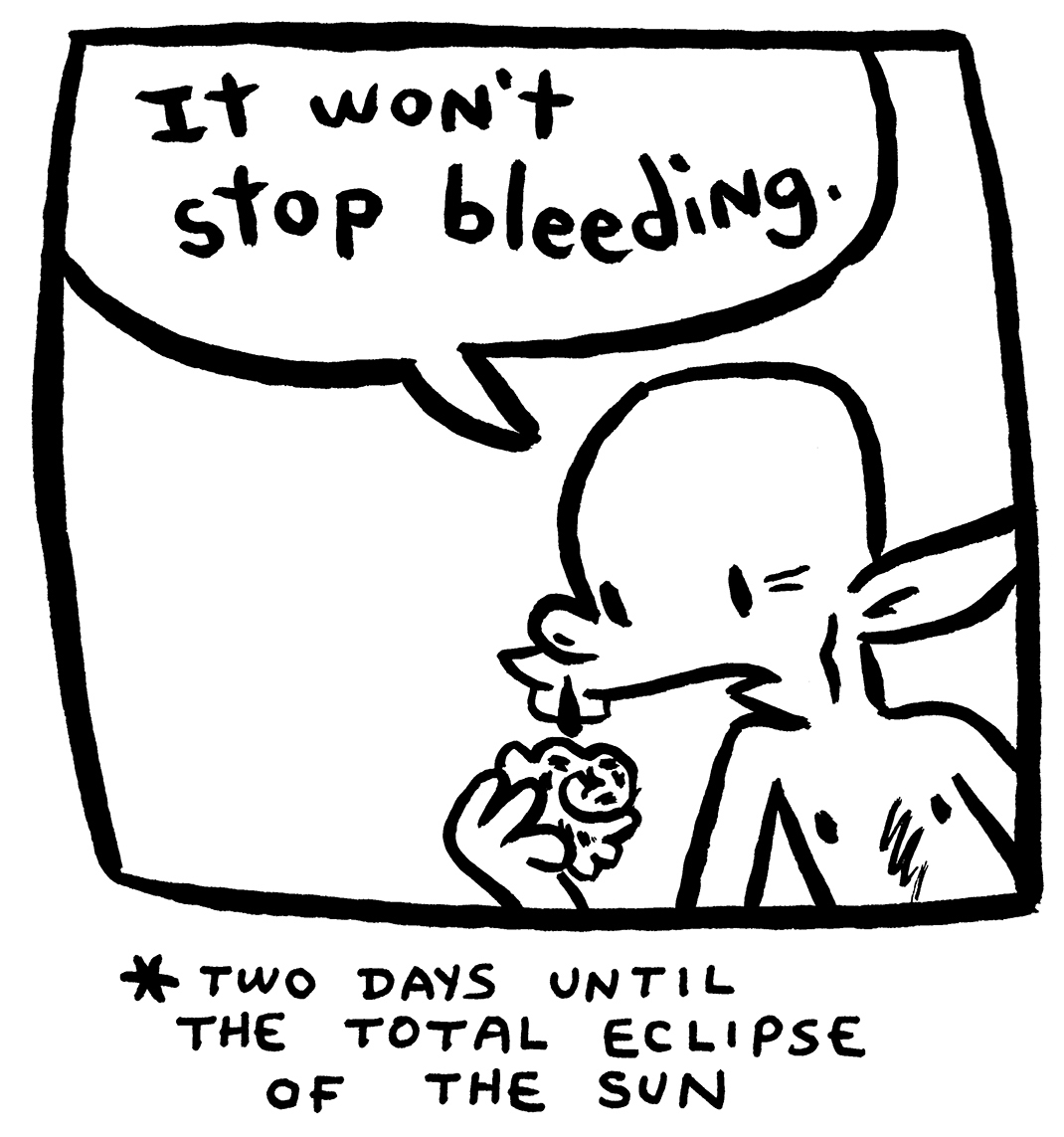 The eclipse is coming and everyone is freaking the F out. I'm glad I started drawing American Elf again so I can document these historic events: patreon.com/collection/439…