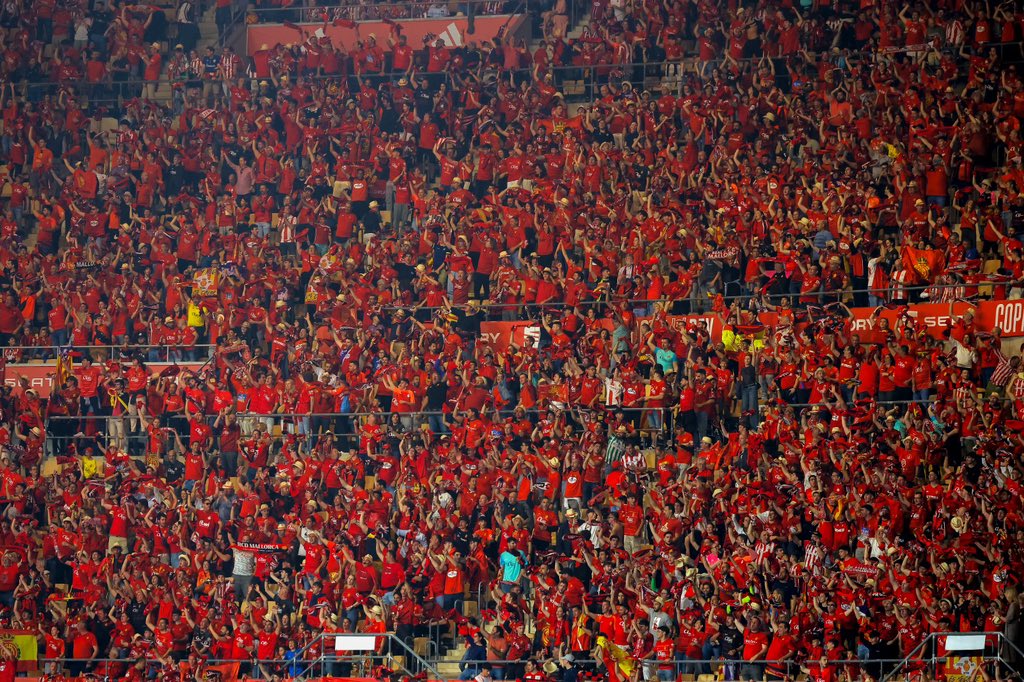 El que heu fet, mallorquinistes…