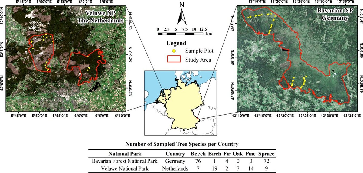 Forest top canopy bacterial communities are influenced by elevation and host tree traits dlvr.it/T59LRc