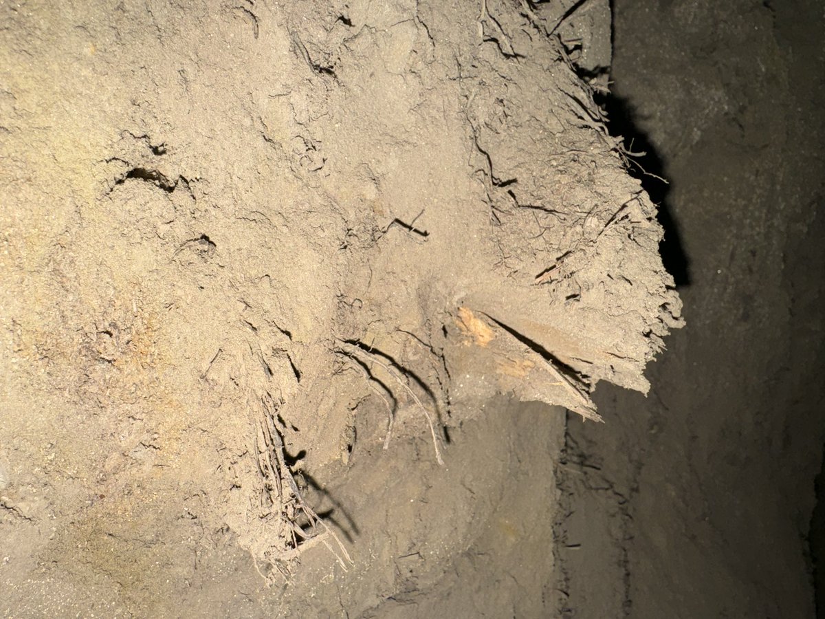 JooCanrio3's tweet image. Doing fieldwork in Fairbanks, Alaska. Sampling permafrost and ice tens of thousands years old in a Permafrost tunnel, and lakes, with the aim of understanding the OM and Hg dynamics. Thanks @polar2e for funding and Katey and Sarah from @uafairbanks. @istecnico @cqe_lisboa @deqist