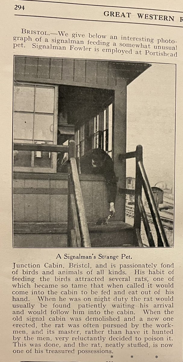 A cheery tale of one man’s love for his rat. From Great Western Railway magazine, 1909.