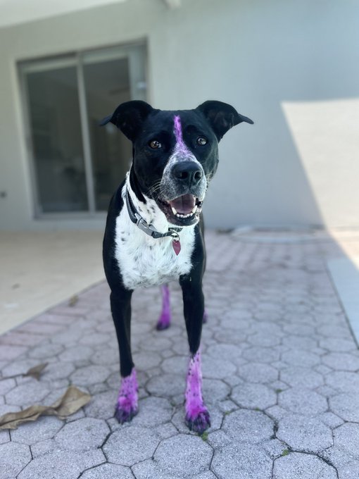 Pool day 💦 Let&rsquo;s chat on my site 😋 https://t.co/KJjKJDsiao<a href="/tag/phawards2024"class="tags"><span>#phawards2024</span></a>