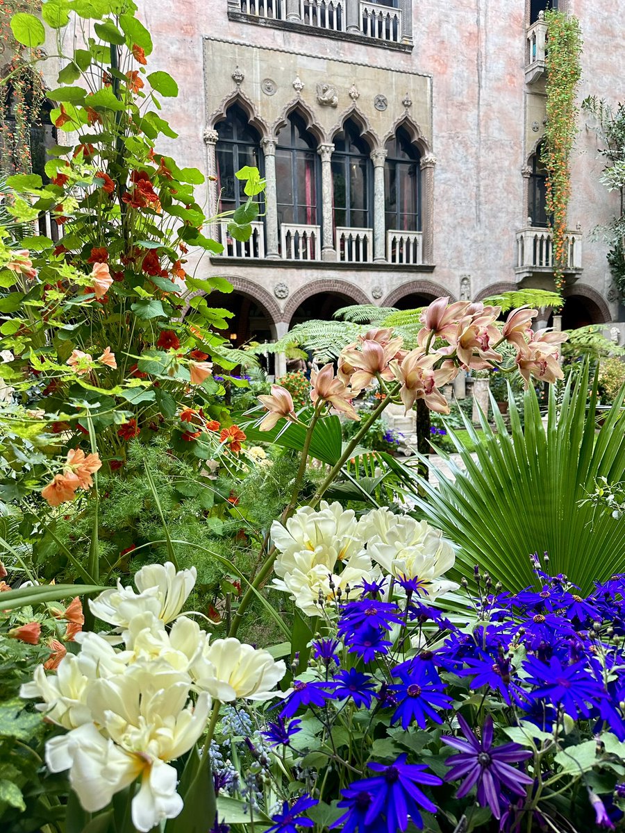First time visiting <a href="/gardnermuseum/">Gardner Museum</a> today! Such an intriguing and beautiful place.