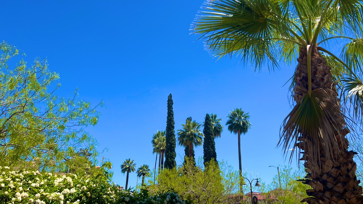 It’s a beautiful day in the neighborhood of Tucson