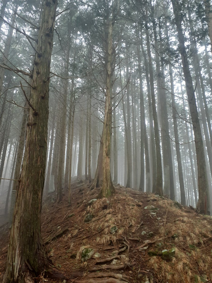 昨日は、栃木県日光市の火戸尻山に登ってきました⛰️ 栃木百名山77座目です😄