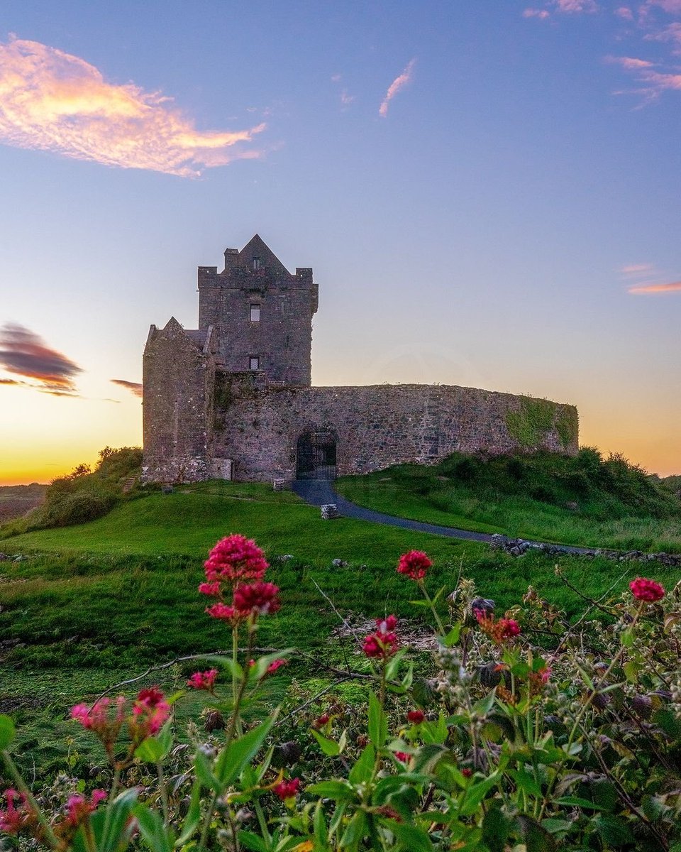 A picture perfect view of the 16th century Dunguaire Castle on the shores of Galway Bay! 🏰🌺😍

📸 IG/ visit_ireland_
📍 Dunguaire Castle, Kinvara

#PicturePerfect #Dreamy #IrishCastle #AmazingPlaces #GalwayBay #DunguaireCastle #Kinvara #Galway #Ireland #VisitGalway