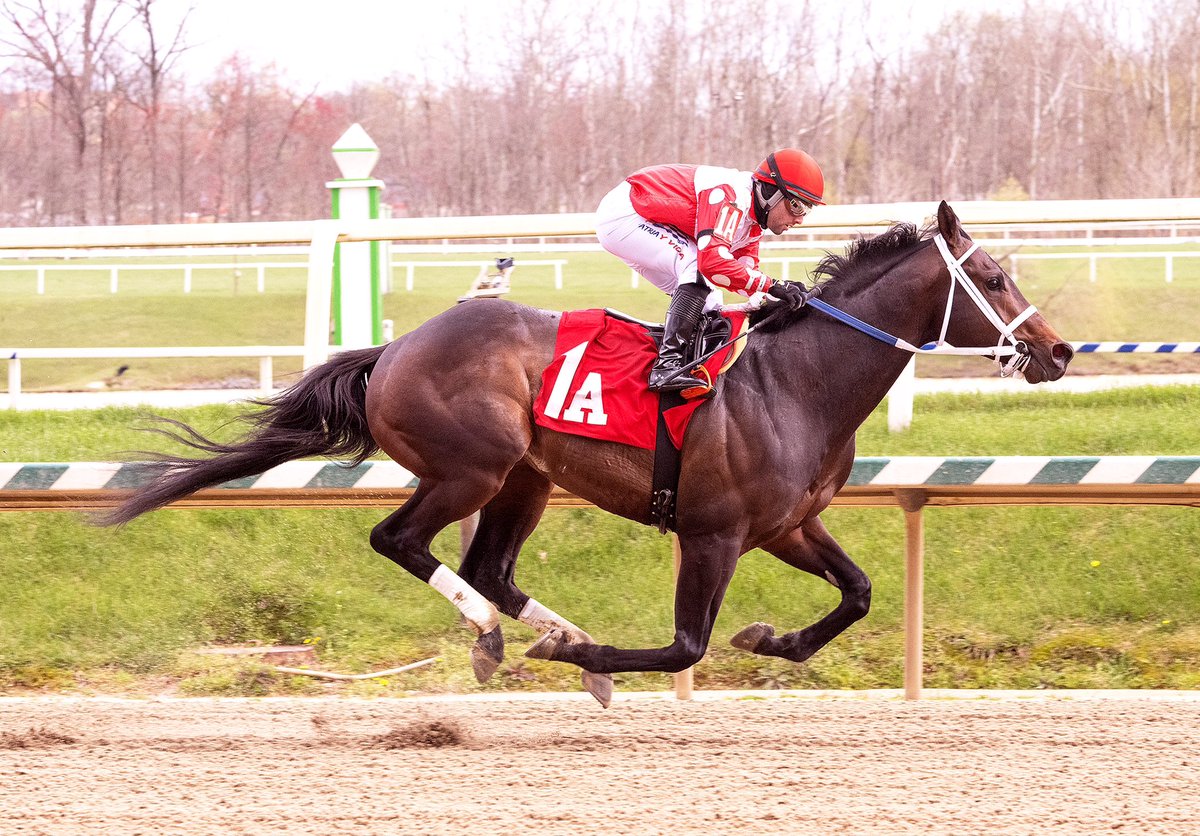 Bet the Line, 3YO colt by Exaggerator, ships from @parxracing @PTHA17 to @LaurelPark and wins 1M MSW in third career start. Andy Hernandez in to ride for trainer Scott Lake and owner Richard Malouf. (Jim McCue 📷)