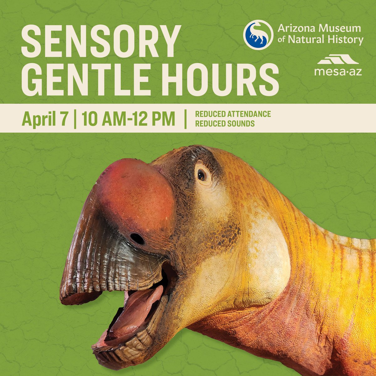 In recognition of Autism Acceptance Month, @AZMNH is hosting Sensory Gentle Hours tomorrow from 10am - 12pm. 🦕 🦖 The museum will be hosting fewer people and have reduced sounds. Buy your tickets today: bit.ly/49hecex 📸: Wicked Awesome Boy Mom