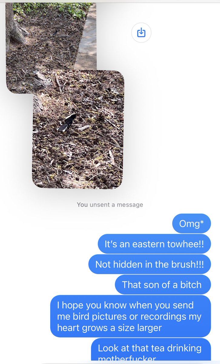 Jess_inthewild's tweet photo. Dating me is like https://t.co/TNi1fMSI3B