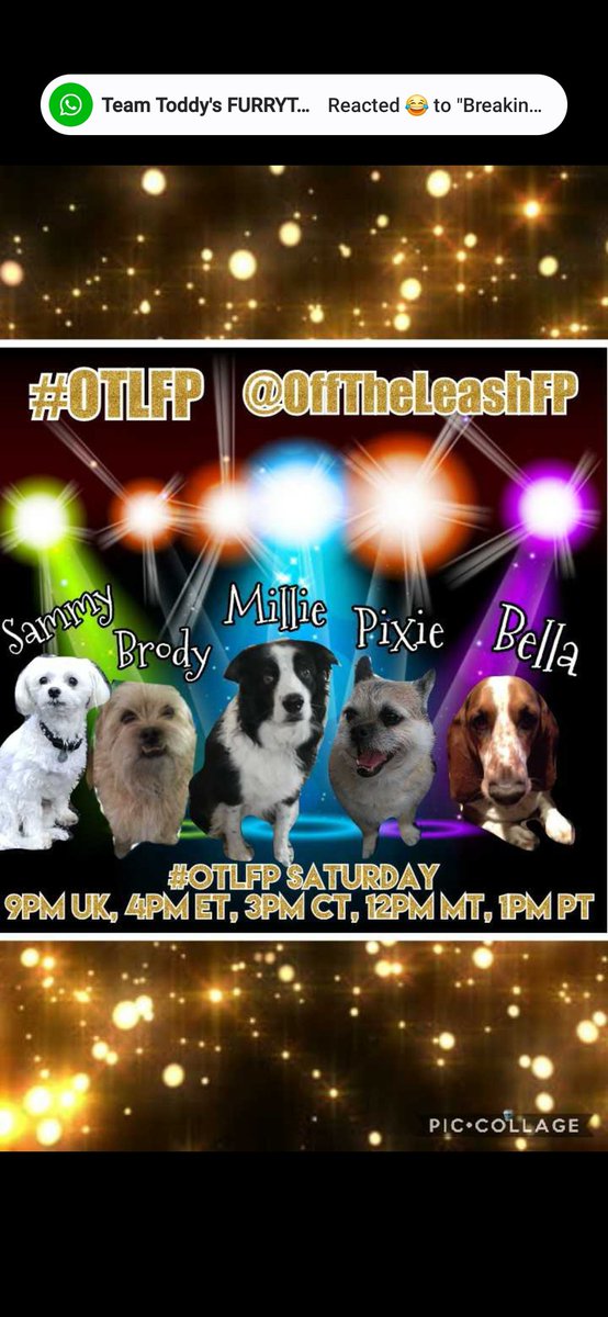 Since then i've done the adoption segment for each show & been hosting too. Oh its been lots of fun. And you know Me & Pix as we are always up here hosting the show,but we have a fun team behind the scenes for #OTLFP too. So today we want to get them out front too!