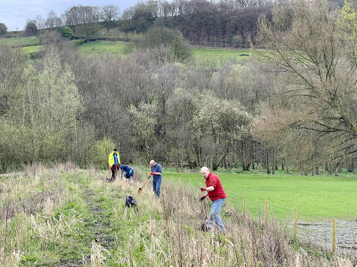 Tree planting at Brearley Fields Wetland🌳 it’s really taking shape here now- the trees and hedgerows will complement the wetland ponds and create water storage opportunities to mitigate flooding - what a great project 💪🏼 #calderdale #nature #floodresilience