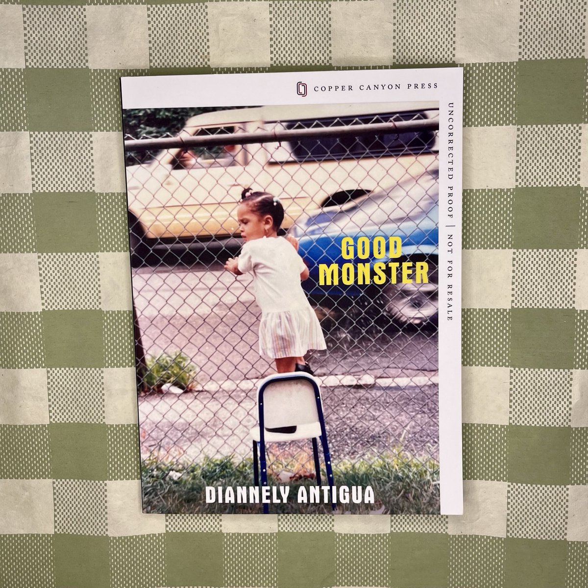 DIANNELY ANTIGUA’s (@nellfell13) GOOD MONSTER grapples with the body as a site of chronic pain and trauma. The collection “voyage[s] the land / between crisis and hope,” chronicling Antigua’s reckoning with shame. Look for it May 14: bit.ly/3TjGPDC