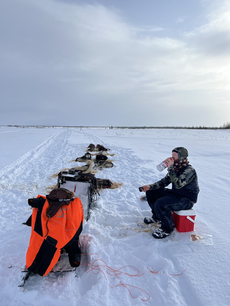 Kobuk440 tweet picture